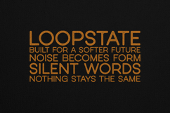 Nost Sans Textured Modern Sans Serif Font Product Image 4