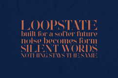 Wonderz Elite Luxury High Contrast Serif Font Product Image 4