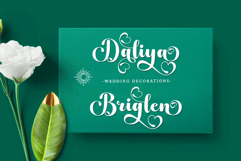 Baby - Family Font In 40 Type Product Image 4