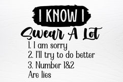 Funny Quotes Designs SVG Product Image 4