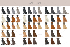 Cane Corso dog clip art Product Image 4