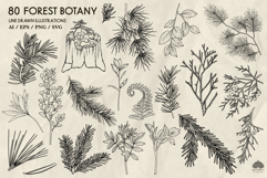 Forest Botany line art collection Svg Png Eps Product Image 4