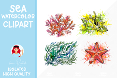 32 Summer Seashells Watercolor Cliparts Product Image 5