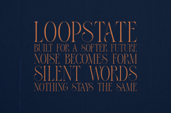 Thorn Tale Echo Edition Luxury Modern Serif Font Product Image 4