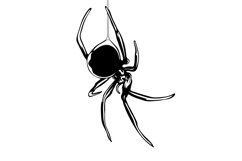 Spider Svg/Png/Jpg/Ai/Vector Spider/Black spider Svg Product Image 5