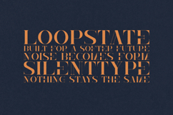 Mallie Elegant Modern Serif Display Font Product Image 4