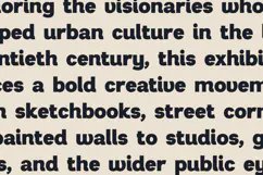 Ouvre Bold Contemporary Display Sans Font Product Image 4