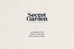 Averique Elegant Modern Serif Font Product Image 4