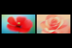 Ethereal Floral Bloom Gradient Textures Product Image 4