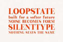 Preta Editorial Serif Font Family Product Image 4