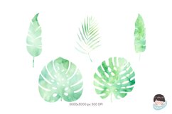 Leaves Watercolor clipart Product Image 4