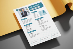 21 Creative Resume CV - Canva Product Image 4