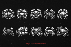 10 Bundle Dark Art Cancer Crabs Gothic Horror Beast Animal Product Image 6