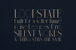 Avarice Abstract Elegant Modern Serif Font Product Image 4