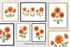 15 Bundle Watercolor Dahlia Flower Blossom Orange Floral Product Image 4