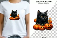 Black Cat with Pumpkins PNG Digital Prints for Fall Product Image 1