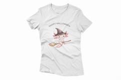Halloween Axolotl Flying Witch Hat Broom PNG Uparupa Product Image 2