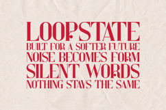 Kompot Elegant Modern Serif Font | Luxury Product Image 4