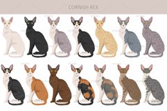 Cornish Rex clipart Product Image 3