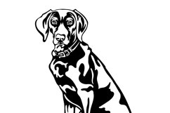 Weimaraner dog/Dog Svg/Png/Jpg/Ai/Vector purebred breed/Pet Product Image 5