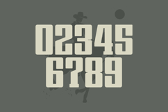 Gracho- Slab Serif Font Product Image 4