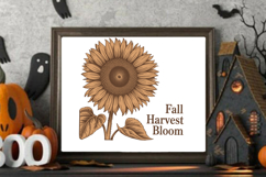 Fall Harvest Bloom Product Image 4