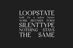 Creators Type Elegant Modern Serif Font Product Image 4