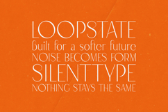 Kvell Elegant Minimal Display Font Product Image 4