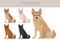 Norwegian Lundehund clipart Product Image 2