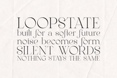 Gleed Elegant Modern Serif Display Font Product Image 4