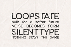 Dense Rough Edition Distressed Vintage Product Image 4