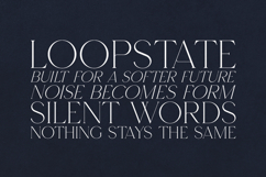 Footle Elegant Modern Serif Font Product Image 4