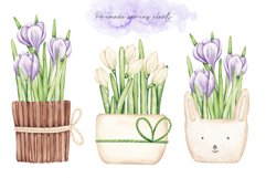 Watercolor Set “Spring Flowers&quot; Product Image 5