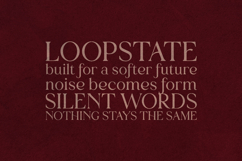 Creators Type Wavy Serif Font Product Image 4