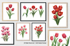 15 Bundle Watercolor Tulips Flower Botanical Painting Spring Product Image 4