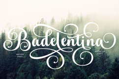 Andelintia - Family Font In 67 Styles Product Image 4
