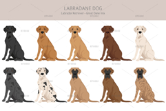 Labradane. Labrador/Great Dane mix Product Image 3