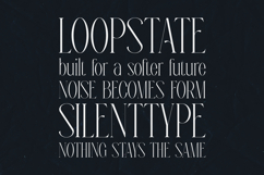 LEAL Elegant Modern Serif Font Product Image 4