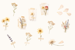 Dried Flowers Watercolor Collection Product Image 4