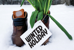 Spectre Collector Product Image 4