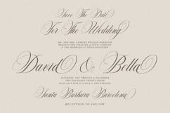 Delighton Script Product Image 4