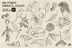 Forest Life Procreate stamp brushes Product Image 4