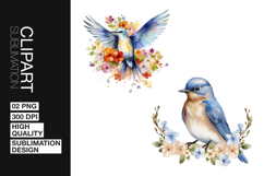 Colorful Bird Art Clipart PNG Product Image 1
