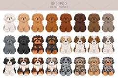Shih Poo, Shih Tzu Poodle mix Product Image 3