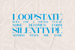 Chalga Modern Elegant Serif Font Matte Edition Product Image 4