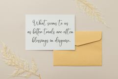 Bestia Product Image 4