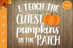 Teacher Svg, I Teach The Cutes Pumpkins In The Patch Svg Product Image 3