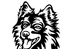 Pomeranian spitz/Dog Svg/Png/Jpg/Ai/Vector purebred breed Product Image 5