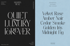 Thereon - Modern Romantic Serif Font Product Image 4