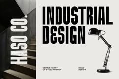 Dormanc Northy - Condensed Font Product Image 4